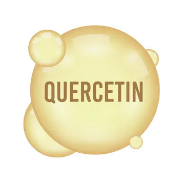 Quercétine