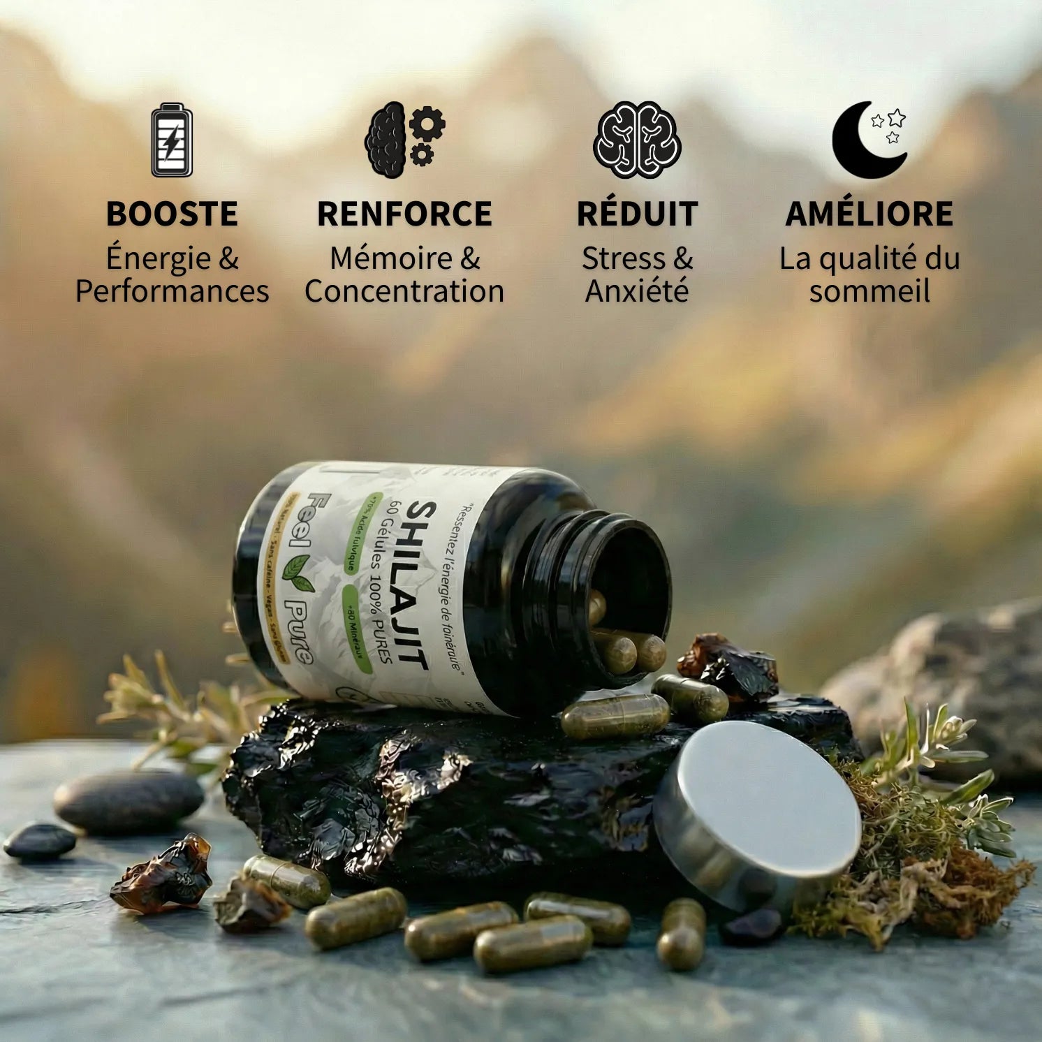 Resine de Shilajit 70 Bienfaits