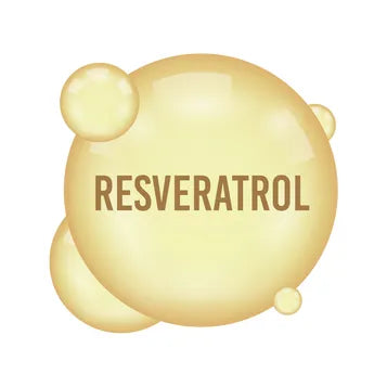 Trans-Resvératrol