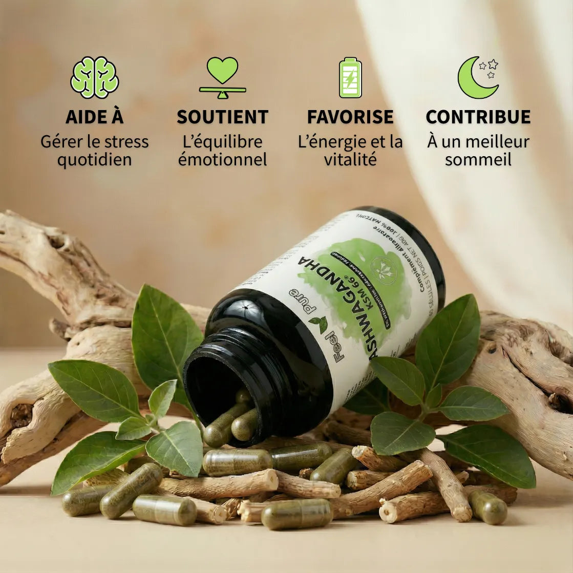 ashwagandha KSM66 bienfaits