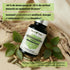 ashwagandha KSM66 etudes