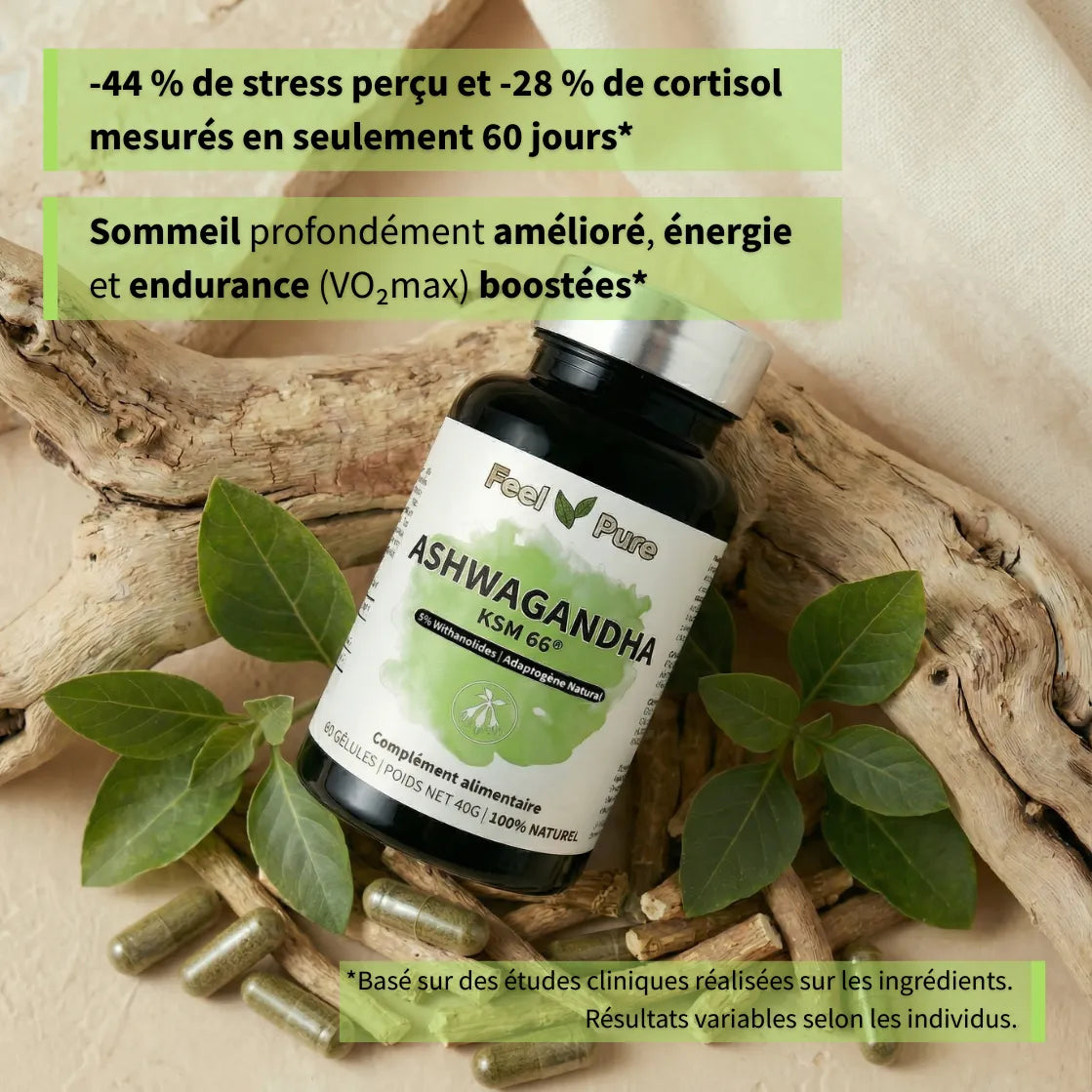 ashwagandha KSM66 etudes