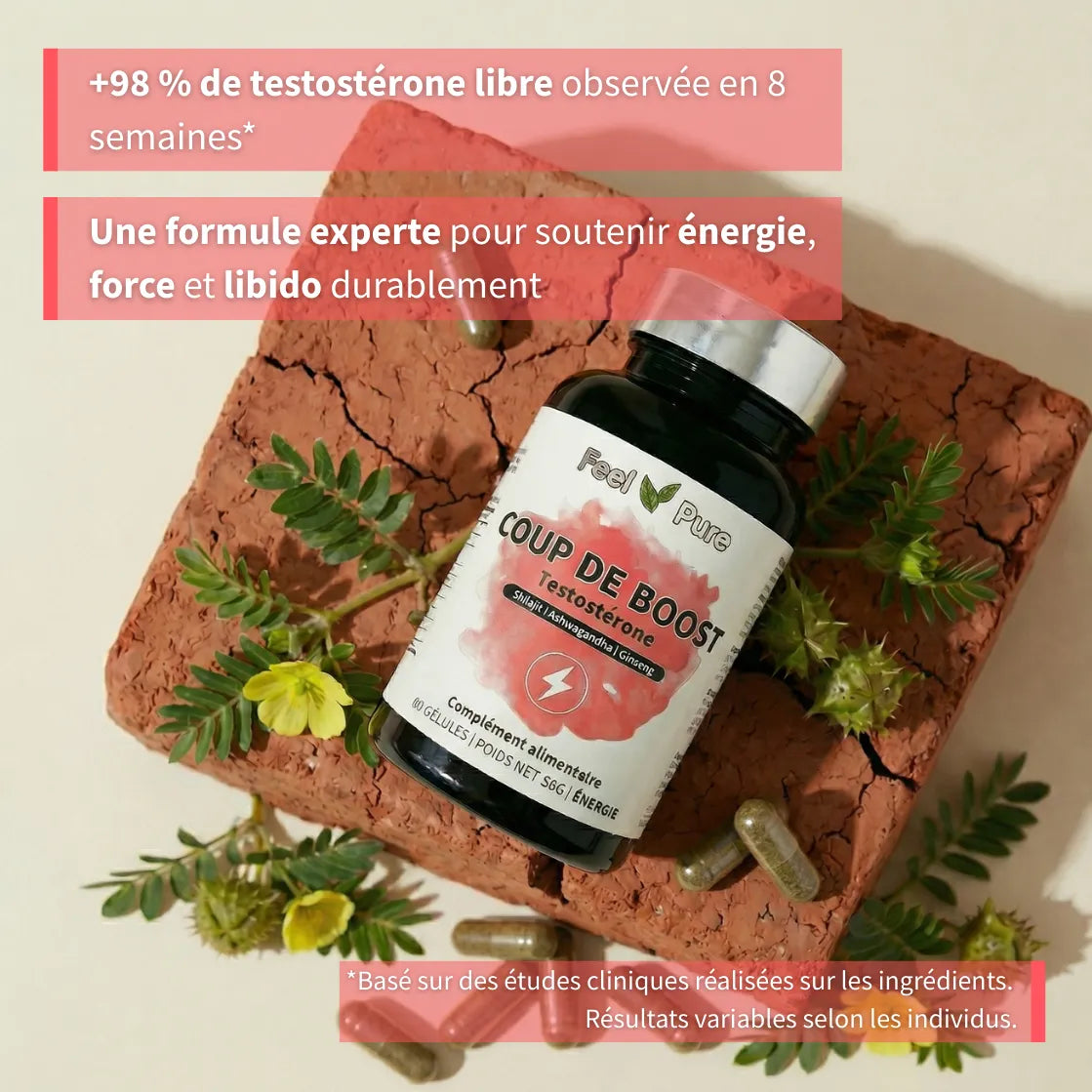 booster testostérone etudes
